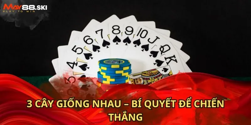 3 cây giống nhau – Bí quyết để chiến thắng