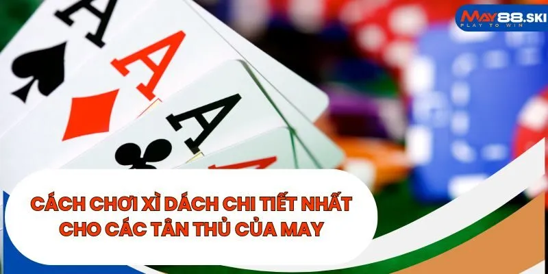 Cách chơi chi tiết nhất cho các tân thủ của May