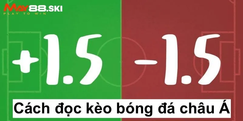 Cách đọc tỷ lệ cược bóng đá châu Á cực đơn giản