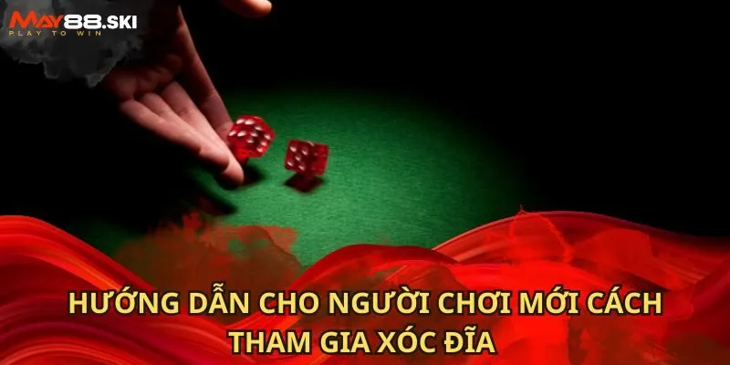 Hướng dẫn cho người chơi mới cách tham gia xóc đĩa 