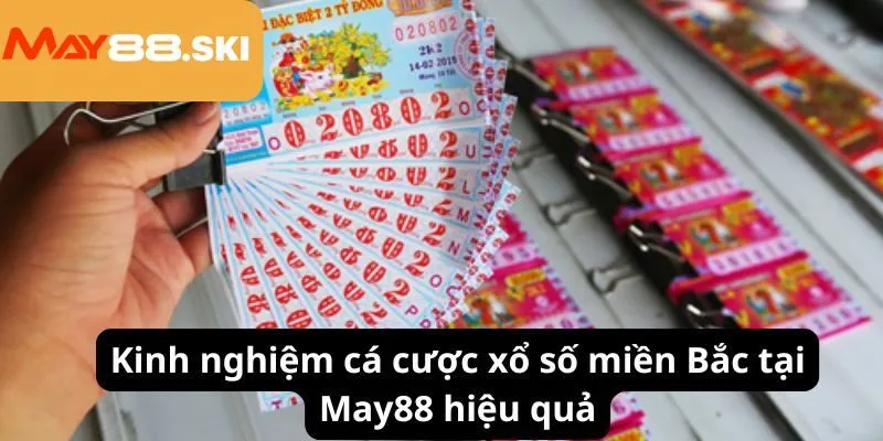 Kinh nghiệm cá cược xổ số miền Bắc tại May88 hiệu quả