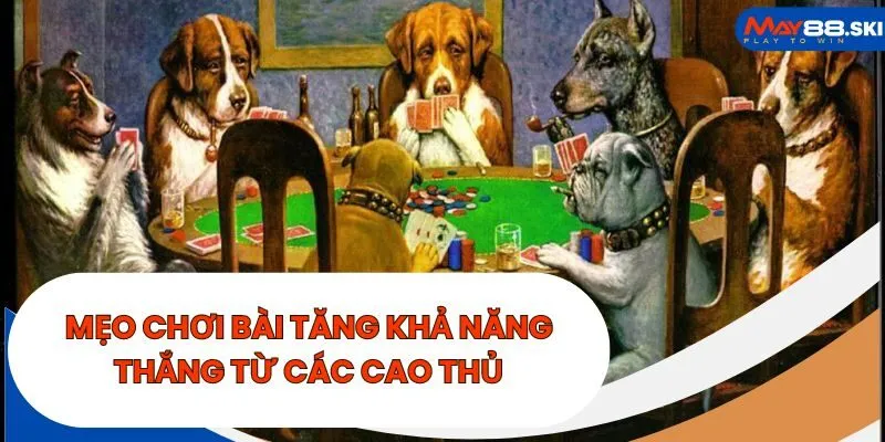 Mẹo chơi bài tăng khả năng thắng từ các cao thủ