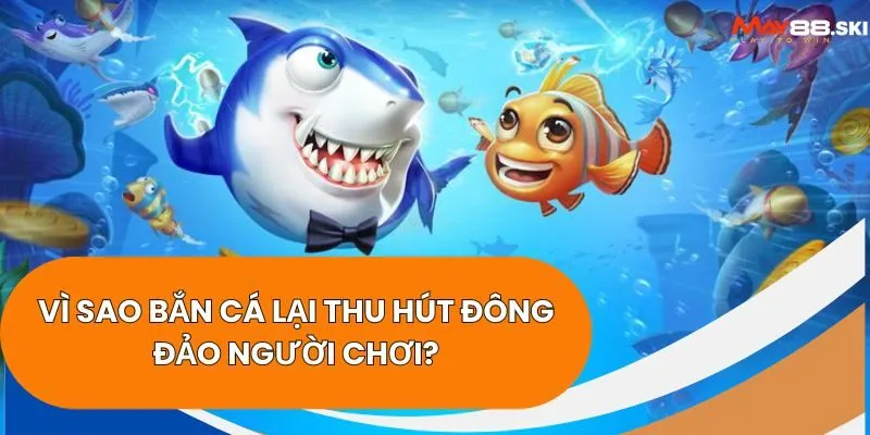 Vì sao bắn cá lại thu hút đông đảo người chơi?