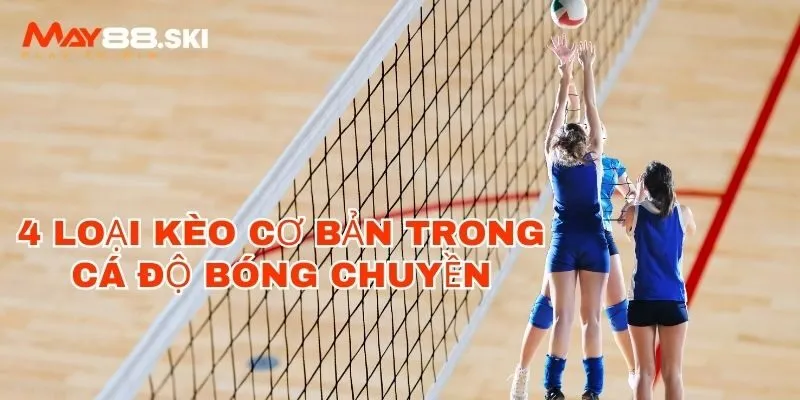 4 Loại kèo cơ bản trong cá độ bóng chuyền