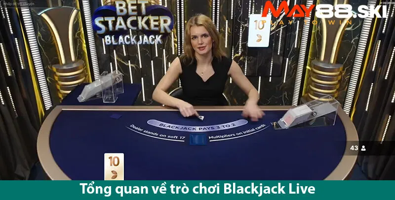 Kinh nghiệm từ những người chơi trò chơi blackjack live chuyên nghiệp